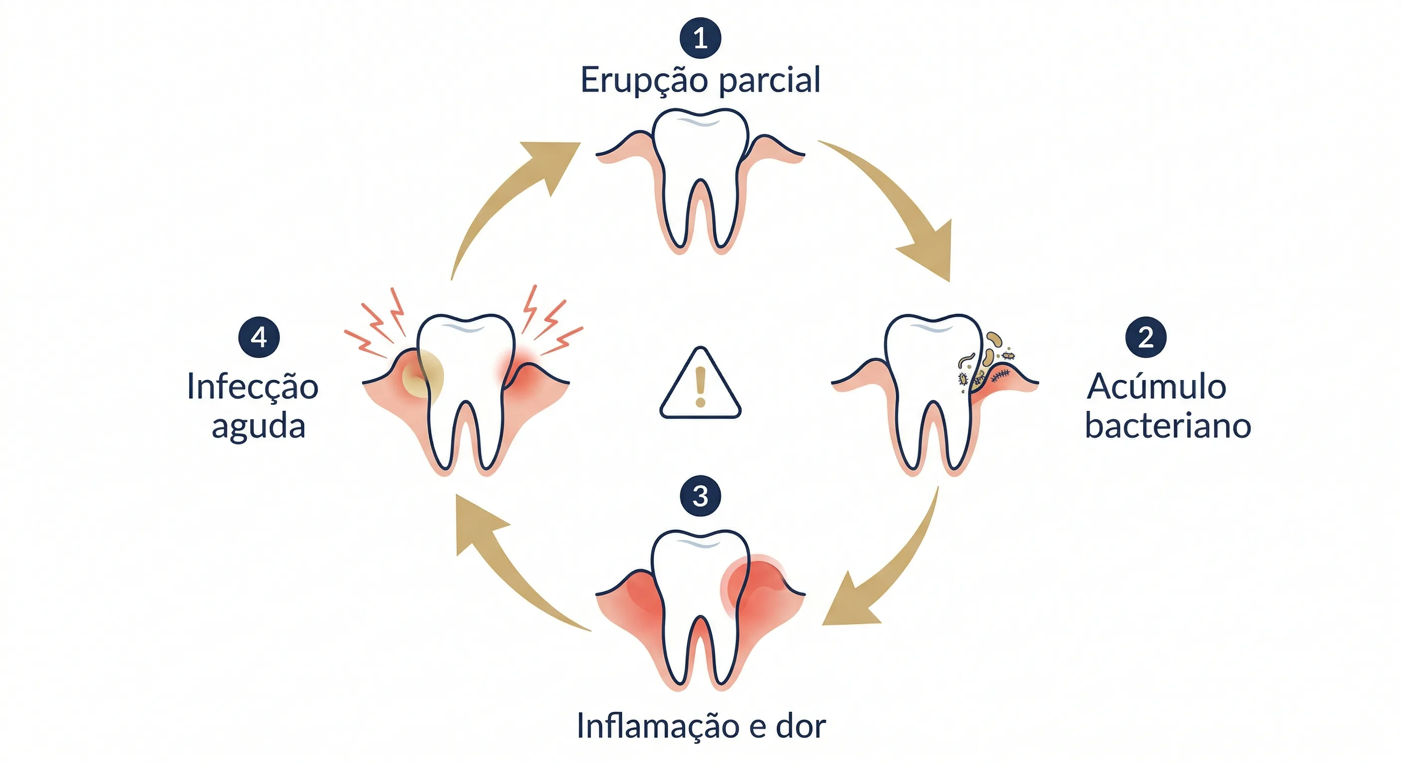 clean, cores da Art Dental.