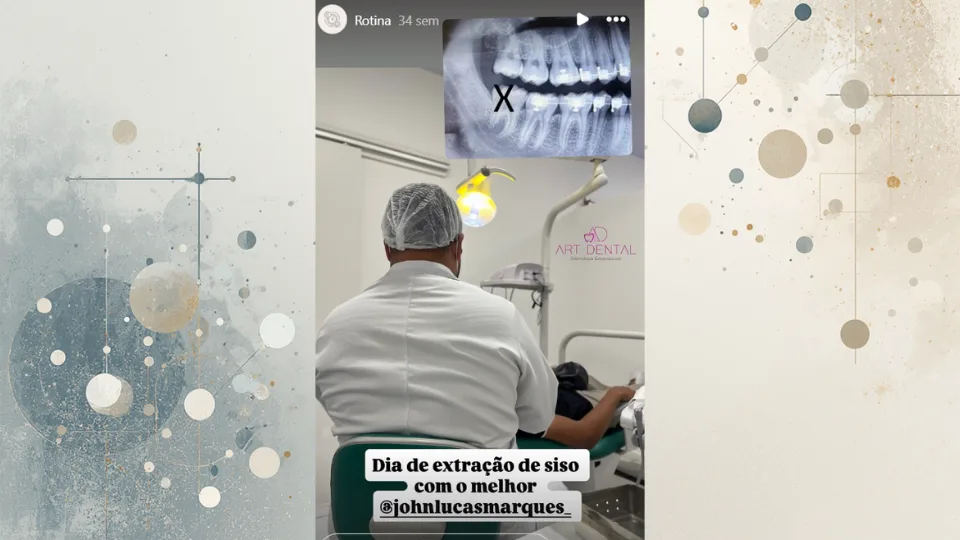 simulação de radiografia panorâmica digital com marcações educativas.